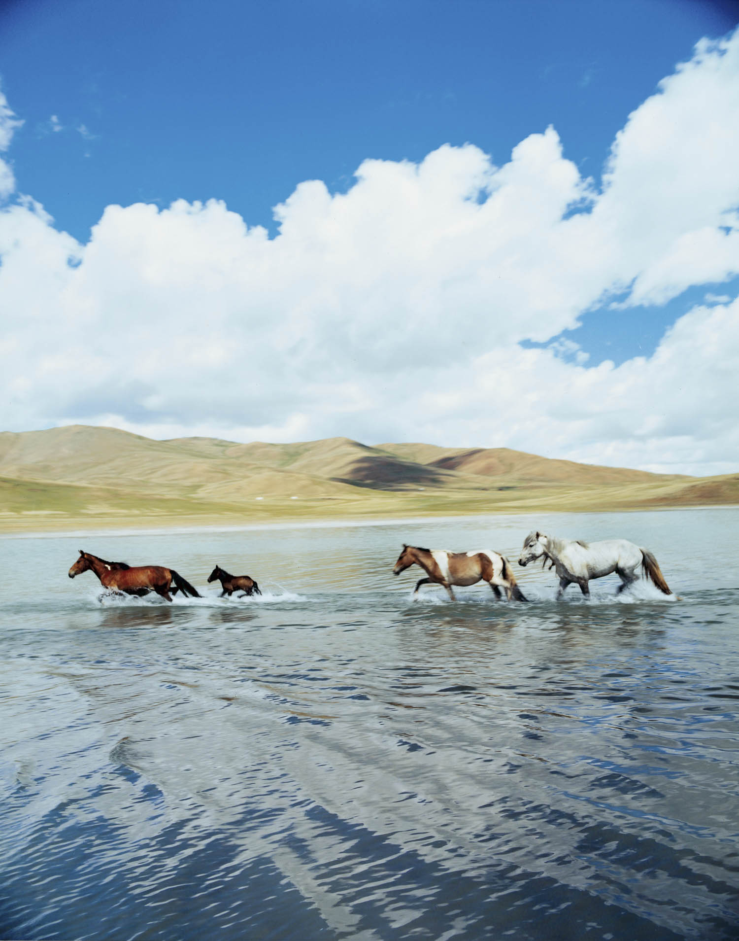 planet N 5 1 °1 2 ‘ 0 8 . 5 ” E 9 8 °5 9 ‘ 4 2 . 6 ” – #12