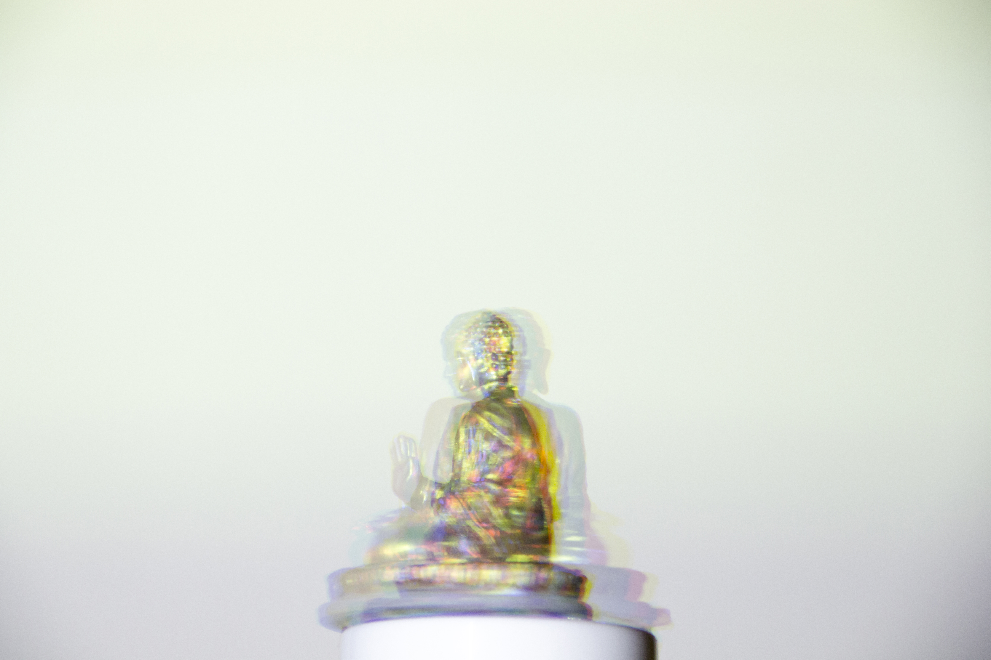 偽彫刻 “imitation sculpture”