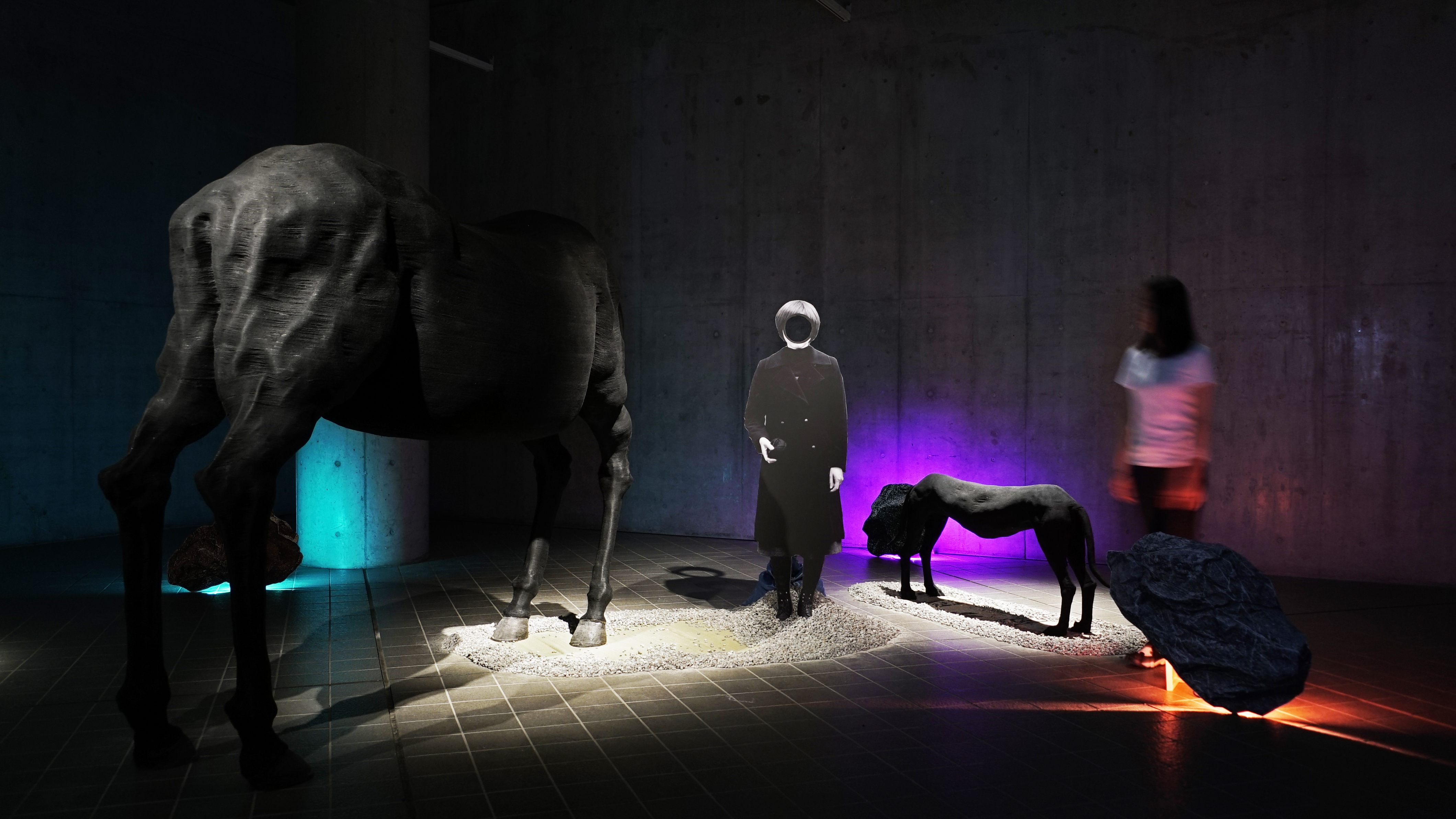 誰もいないところからの眺め “A view from a place where no one is”