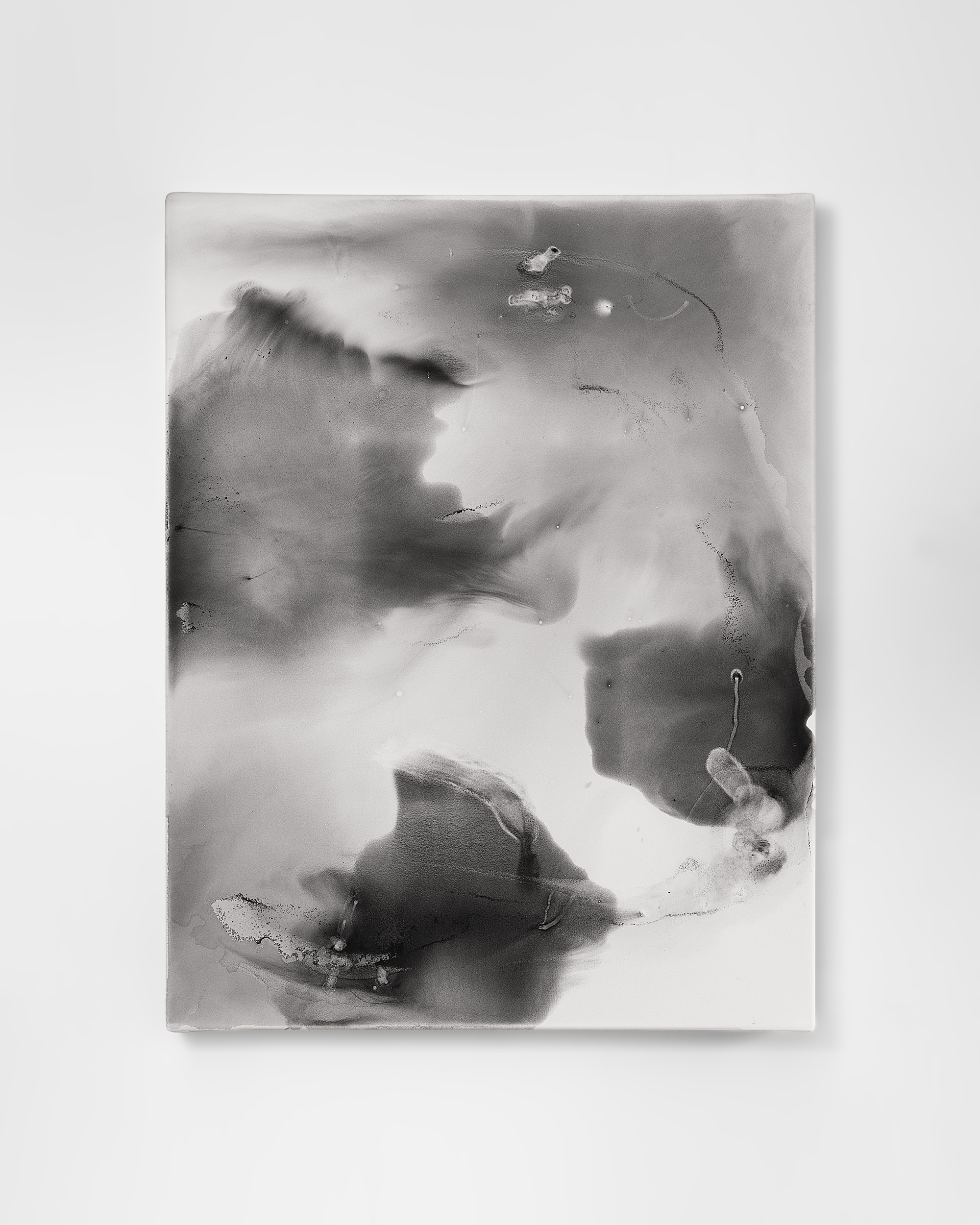 Drawings We Have Lived (0314)